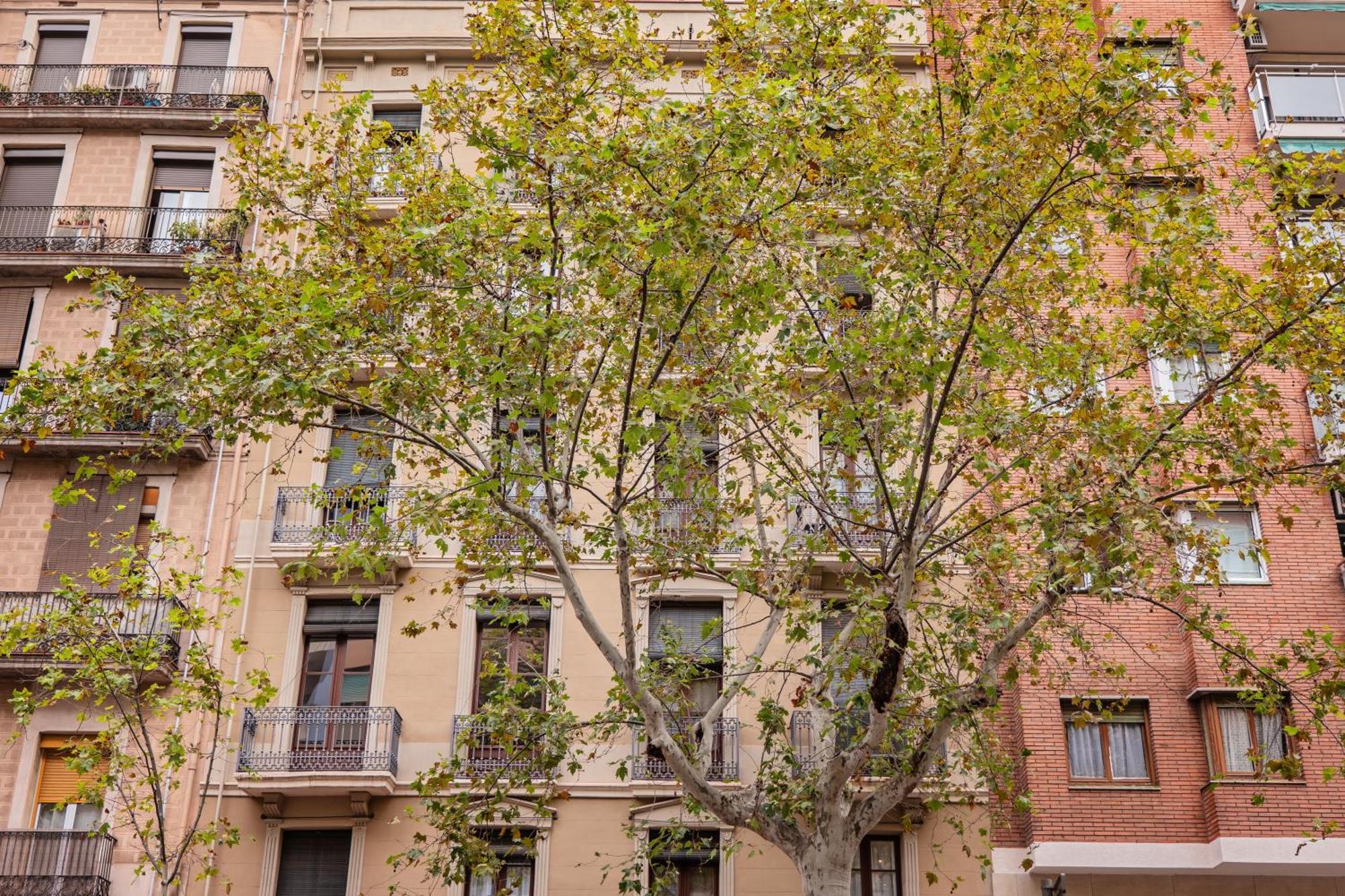 Apartament Sweett - Urgell Eixample Barcelona Zewnętrze zdjęcie